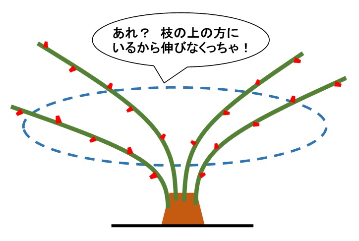 f:id:an-ei:20200301132113j:plain f:id:an-ei:20200301132113j:plain