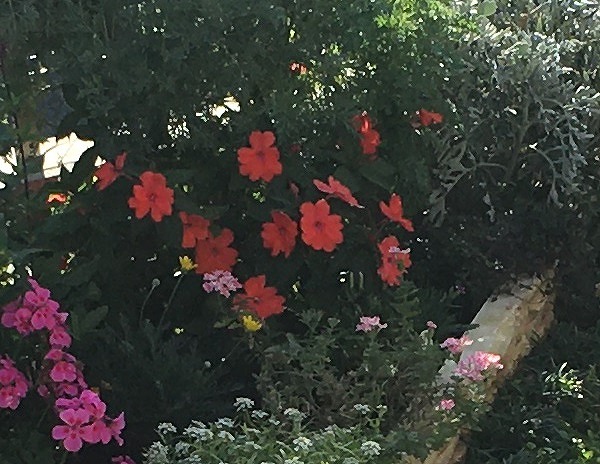 f:id:an-ei:20200312213136j:plain