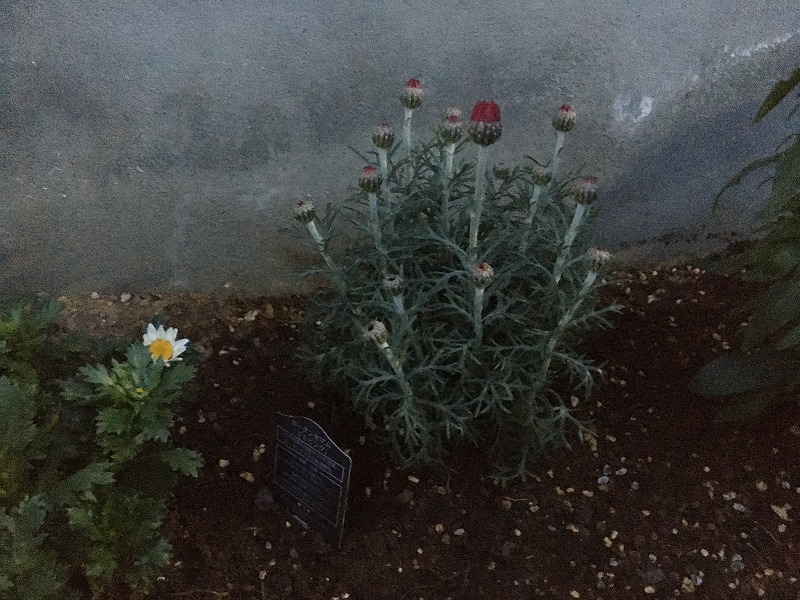 f:id:an-ei:20200319225945j:plain