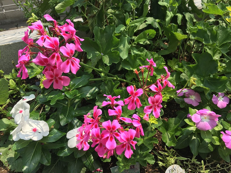 f:id:an-ei:20200322110824j:plain f:id:an-ei:20200322110824j:plain