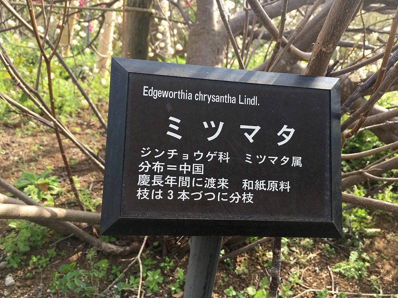 f:id:an-ei:20200323225143j:plain f:id:an-ei:20200323225143j:plain