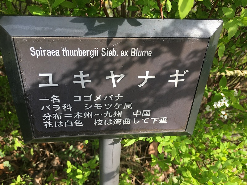 f:id:an-ei:20200323225206j:plain f:id:an-ei:20200323225206j:plain