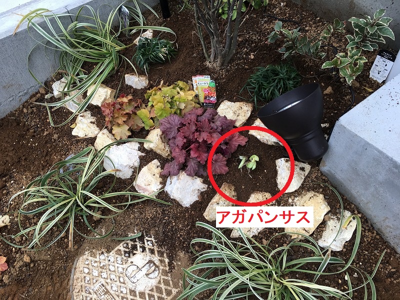ロックガーデンの作成と変遷～茂りすぎてロックが見えない