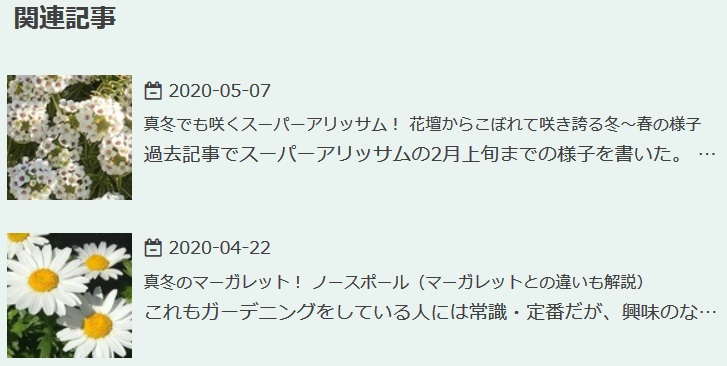 f:id:an-ei:20200531044724j:plain f:id:an-ei:20200531044724j:plain