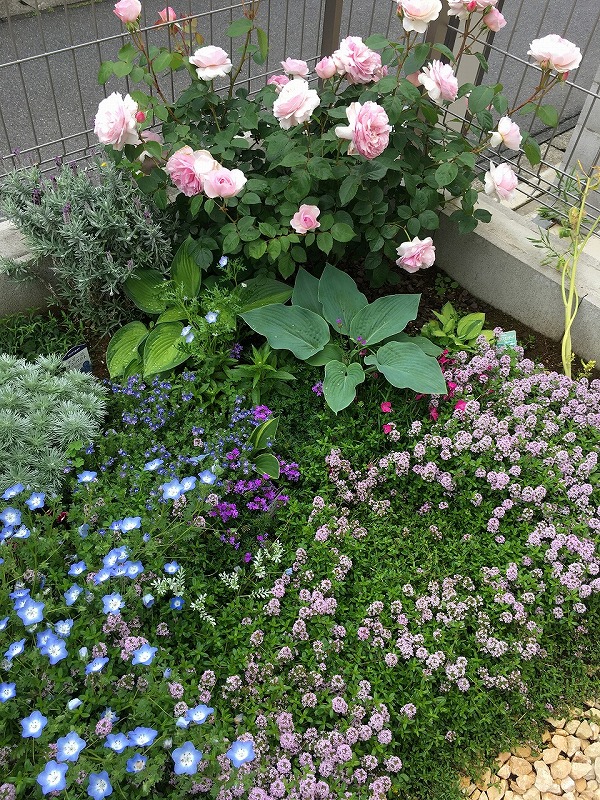 f:id:an-ei:20200607013952j:plain