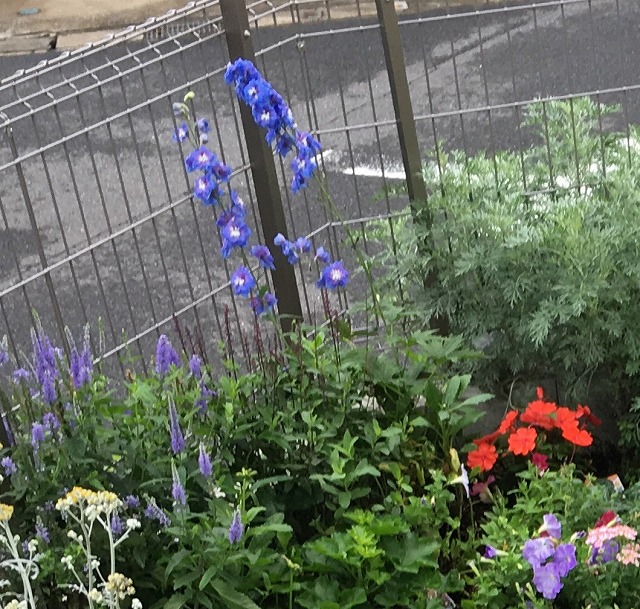 f:id:an-ei:20200627000833j:plain