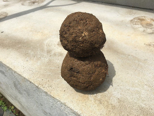 元の土を軽く握るだけで泥団子になる