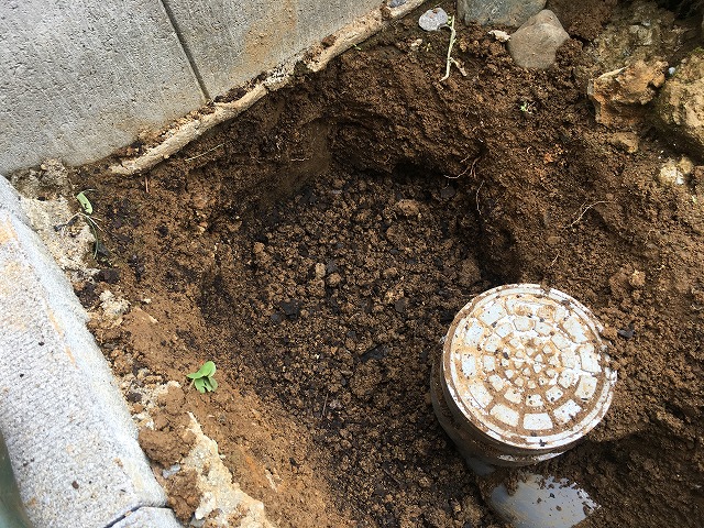 穴の底にも腐葉土を混ぜ込む