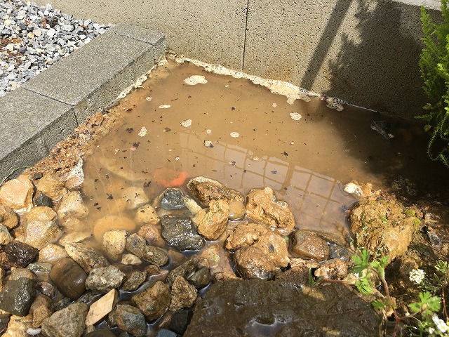 水を流した直後