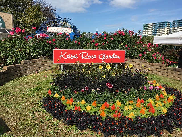 京成バラ園　ローズガーデン入口