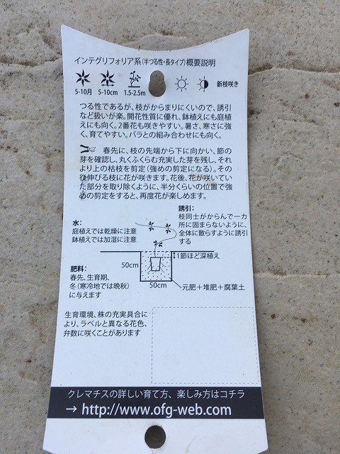 クレマチス・流星 ラベルの裏面