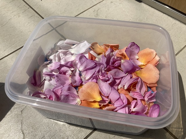 シリカゲルでドライフラワーづくり 花色そのままに瓶で密閉して保存 ズボラな週末ガーデニング