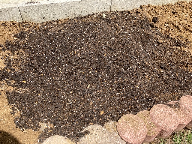 ミニトマト　植える場所を少し高くする