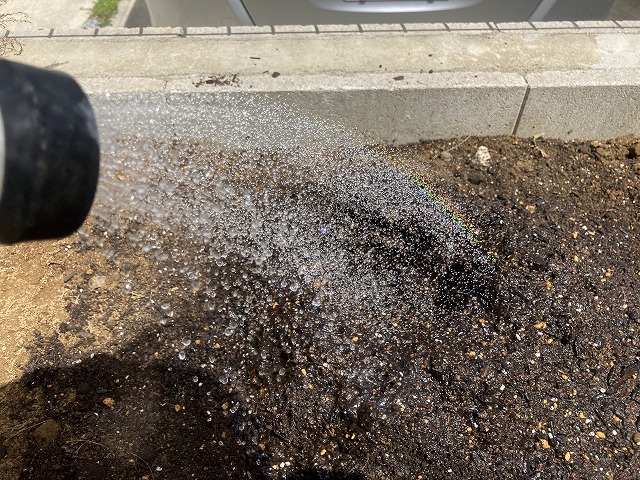 ミニトマト　植える前に土に水やり