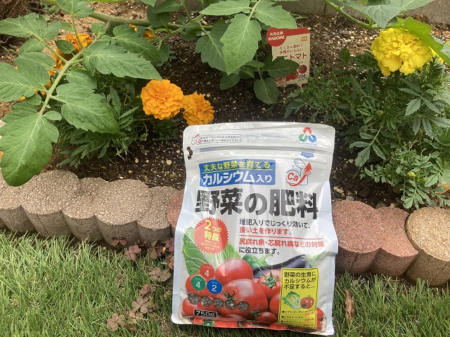 ミニトマト　５月30日　１回目の追肥