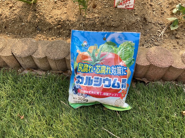 ミニトマト「純あま」 6月30日 カルシウム肥料とスプレー