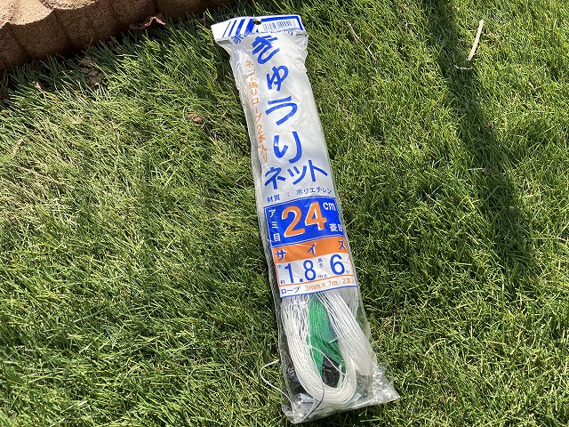 キュウリ「強健豊作」 ネットを張る 5月4日