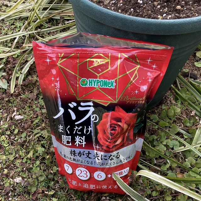 バラ 冬 剪定 誘引 寒肥 夏の花 秋の花 オリビアローズオースチン ビブレバカンス ティップントップ ローズフック 葉っぱ 初心者 ブログ