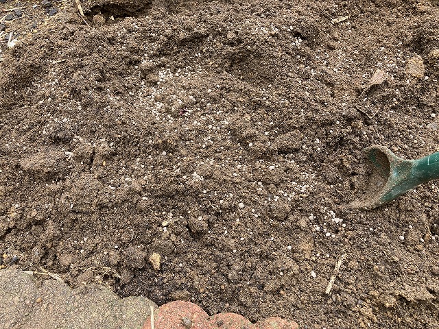 土づくり（植え付け2週間前）　苦土石灰を混ぜる