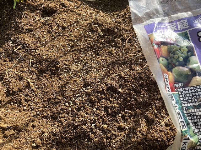 苦土石灰で土壌の酸度を調整