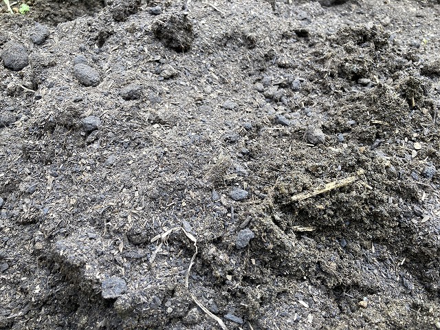 牛ふん堆肥を加える　４月21日