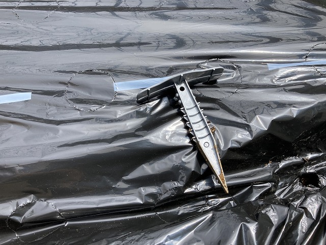 マルチを張る　４月29日