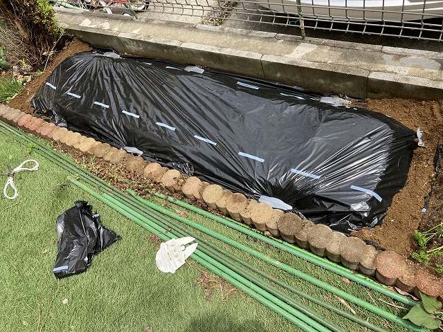 マルチを張る　４月29日