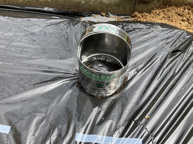 マルチに穴をあける　４月29日