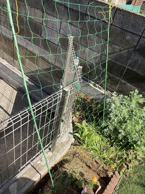 ネットを立てる