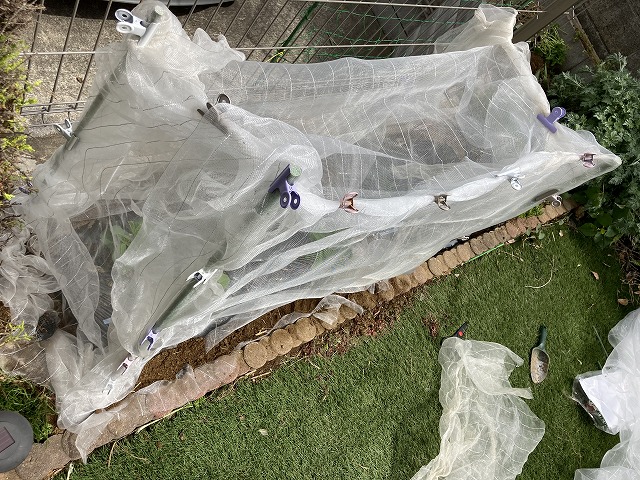 ４種の枝豆　４月29日　防虫ネット