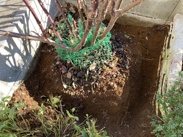 ティップントップ 穴を掘る