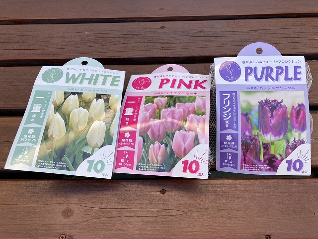 今シーズン植えたチューリップの球根