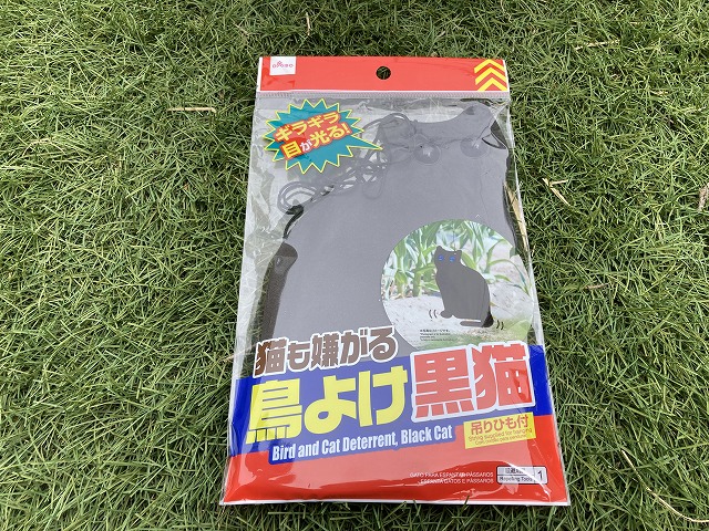 イチゴ(東京おひさまベリーと蜜香) 4月20日 鳥よけグッズ