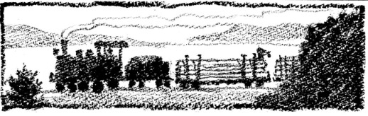 f:id:an-shida:20170114085429p:plain f:id:an-shida:20170114085429p:plain