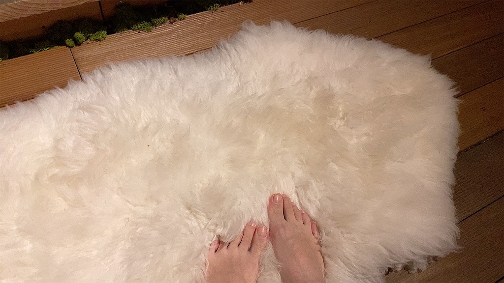 f:id:an666:20201225075817j:plain