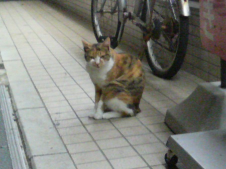 f:id:an_dan_go:20070913214911j:image