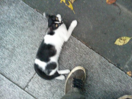 f:id:an_dan_go:20070920174531j:image