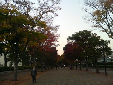 f:id:an_dan_go:20071115163732j:image