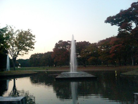 f:id:an_dan_go:20071115165150j:image