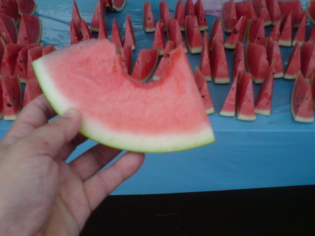 f:id:an_dan_go:20080622105327j:image
