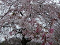 20090404165255