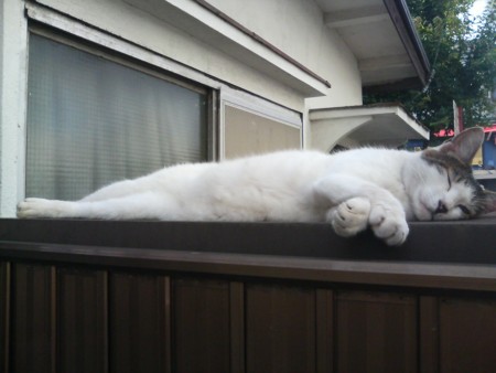 f:id:an_dan_go:20090730080306j:image