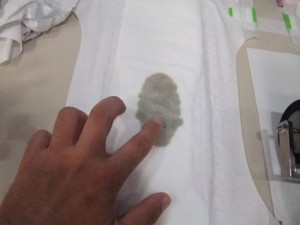 f:id:an_dan_go:20090804160334j:image:left