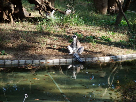 f:id:an_dan_go:20091001150350j:image