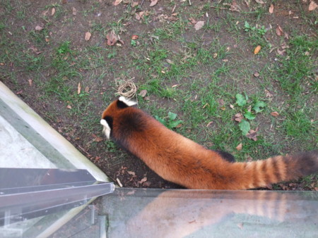 f:id:an_dan_go:20091001155314j:image