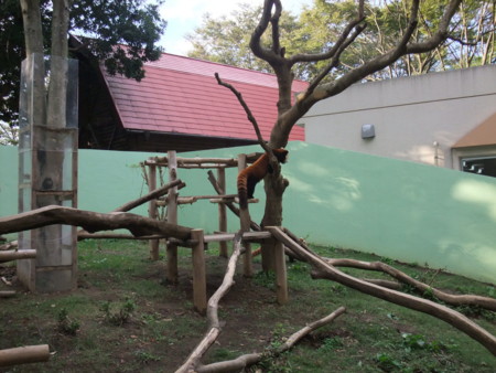 f:id:an_dan_go:20091001155342j:image