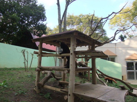 f:id:an_dan_go:20091001155657j:image