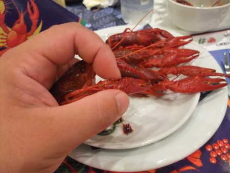f:id:an_dan_go:20100827181843j:image:w300:left
