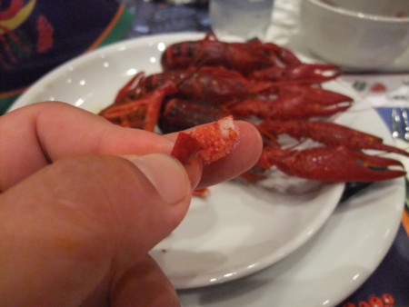 f:id:an_dan_go:20100827181924j:image:w300:left