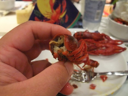 f:id:an_dan_go:20100827182414j:image:w300:left